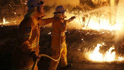 Australian firefighters tackle a bush fire