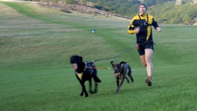 Man running with dogs