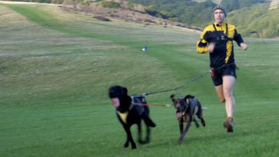 Man running with dogs
