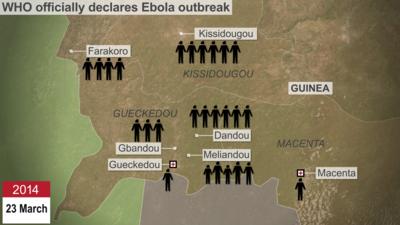 Tracing the Ebola outbreak animation