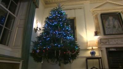 Downing Street Christmas tree