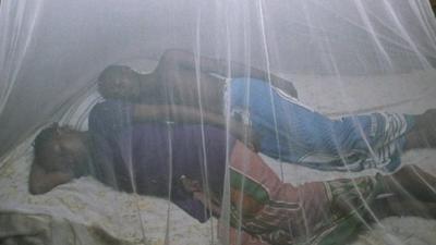 50% of those at risk now have access to mosquito nets