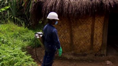 Health worker spraying insecticide