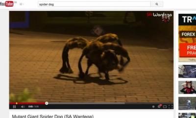 Mutant Giant Spider Dog
