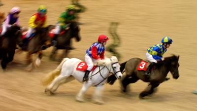 Shetland Pony Grand National racing at Olympia