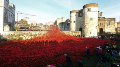 Ceramic poppies