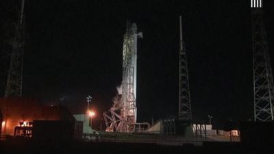 Falcon rocket on launch pad