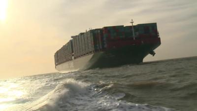 The CSCL globe