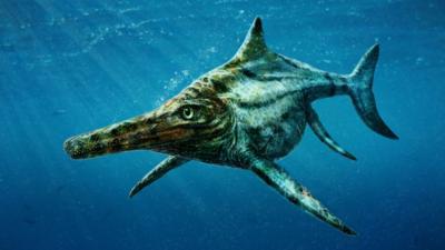 Dearcmhara - a new species of marine reptile