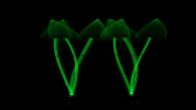 An oscilloscope image