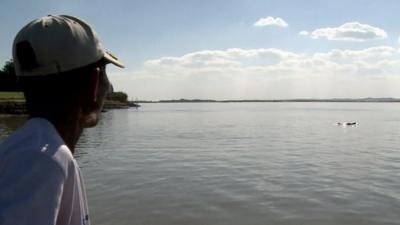 Fisherman watches dolphin