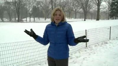 Laura Trevelyan in New York's Central Park