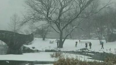 Central Park, New York City