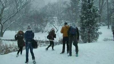 People play in the snow in Central Park