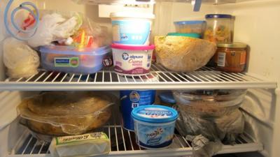 Contents of a fridge