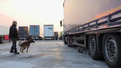 Police dog finds migrant hiding under lorry