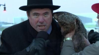 Town's mayor get groundhog bite