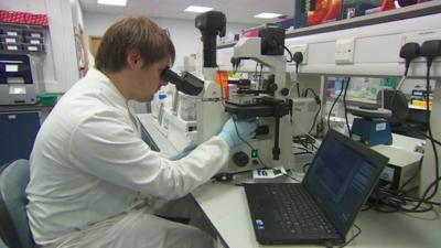 A person in a laboratory looking through a microscope