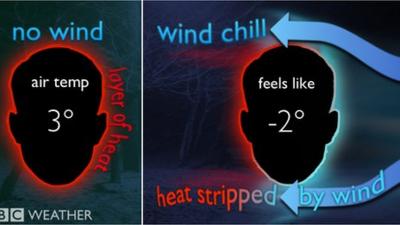 Wind chill graphic