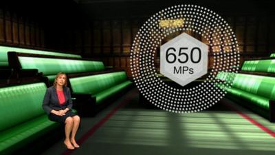 Vicki Young in virtual House of Commons