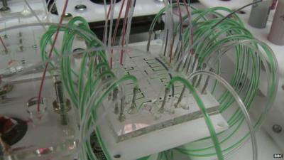 Organs on a chip project at MIT