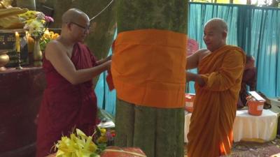 Monks ordaining trees