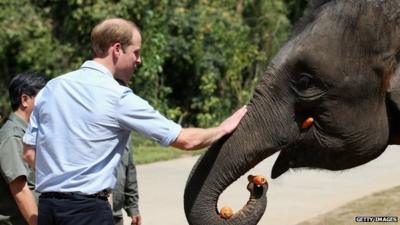 Prince William and elephant