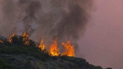 Fire burns on Chapmans Peak