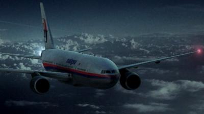 A Malaysia Airlines flight