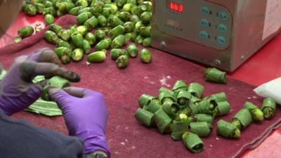 Betel nut preparation