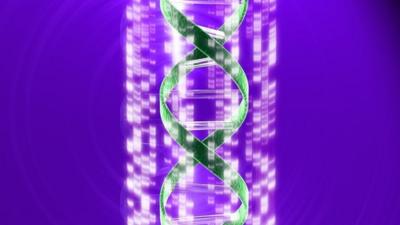 Part of a DNA autoradiogram