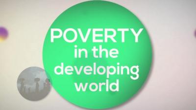 Poverty in the developing world