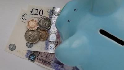 Some cash and a blue piggy bank