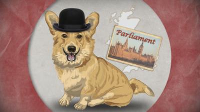 Illustration of Corgi dog in bowler hat