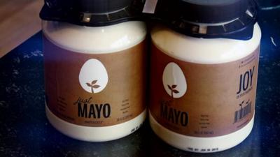 Eggless mayonnaise made from a plant protein