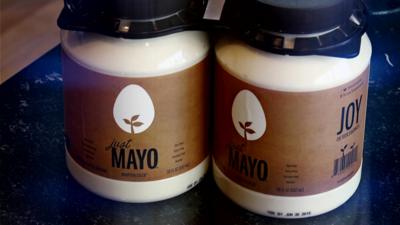 Eggless mayonnaise made from a plant protein