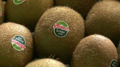 Kiwifruit