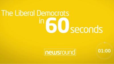 The Liberal Democrats in 60 seconds