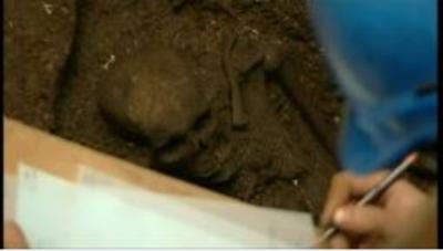 Worker studying skeleton found in excavation