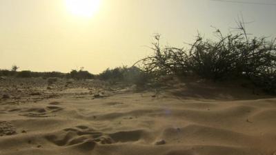 Libyan desert