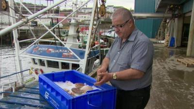 John McAlister opening a fresh scallop