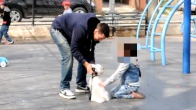 Child petting a man's dog in playground
