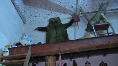 Interior of the Greek pavilion featuring stuffed animals