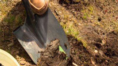 Digging up soil