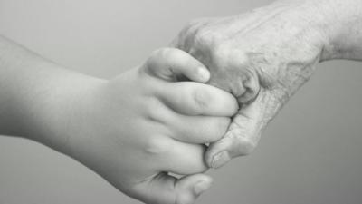 Young and old hands