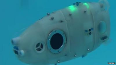Underwater swarm robot