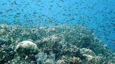 Great Barrier Reef