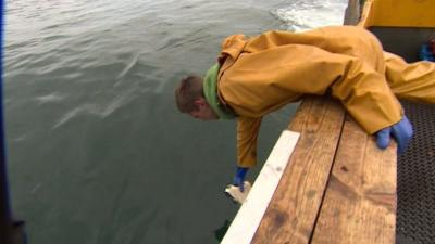 Man picking up litter in the sea