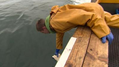 Man picking up litter in the sea