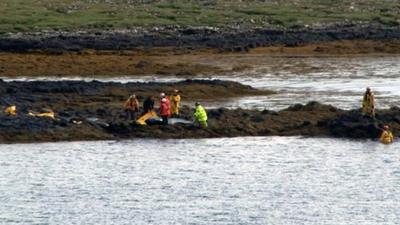 People work to save stranded whales